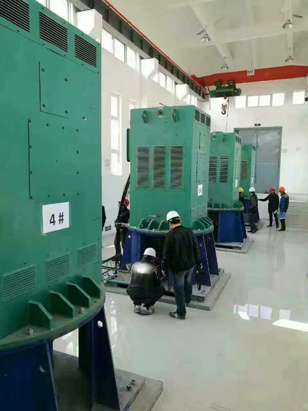 杨林街道某污水处理厂使用我厂的立式高压电机安装现场